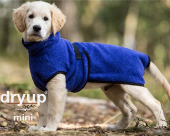 Dry-up Cape Mini 30-45 cm i gruppen Hunden / Tcken/Vstar/Skydd m.m  / Tcken Dry-up  hos PAW of Sweden AB (Dry-up mini)